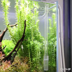 様々なフィルターに使用可能! クリアストレーナ...の詳細画像1