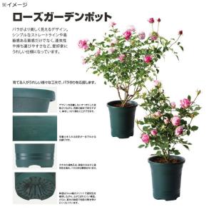 大和プラスチック ローズガーデンポット 30型...の詳細画像2