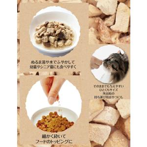 ペティオ 素材そのまま フリーズドライ For...の詳細画像2