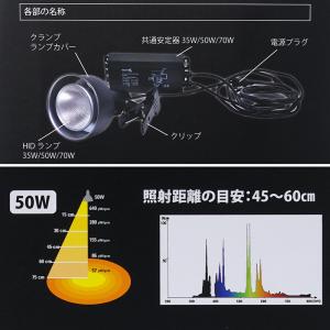 ペットペットゾーン ソラリウム 50W ランプ...の詳細画像3