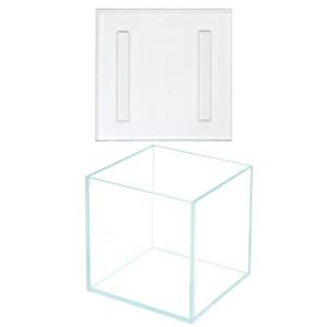 スーパークリア　苔テラリウム　アクロ１５Ｓ（１５×１５×１５）＋ガラスフタ　１６×１６ｃｍ　小型水槽　お一人様５点限り
