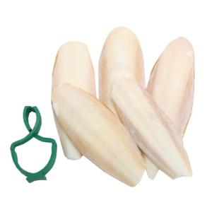クオリス カットルボーン ミニ 20g 鳥 お...の詳細画像1