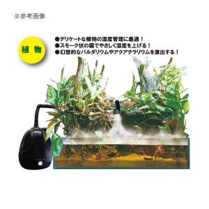 ゼンスイ 爬虫類 植物用加湿器 FOG(フォグ...の詳細画像2