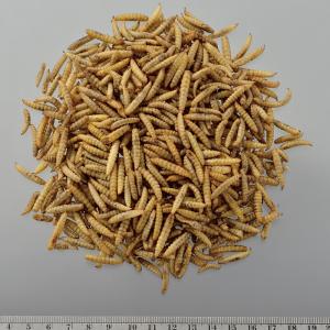 GEX RepDeli バグプレミアム 45g...の詳細画像2