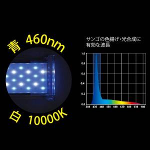 ゼンスイ LED Nano Levil 450...の詳細画像1