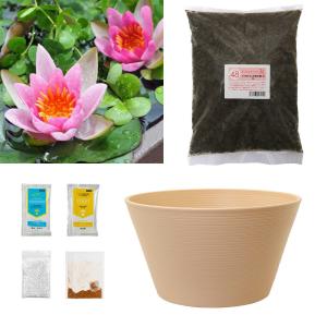 （ビオトープ）睡蓮　姫睡蓮（ヒメスイレン）　赤　１株＋プラスチック製睡蓮鉢＋ビオの土　３Ｌ＋固形栄養素　説明書付　沖縄不可