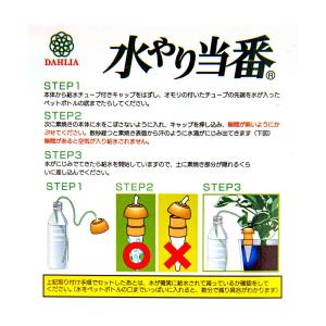 水やり当番 Mサイズ(2ヶ組) ベージュ 留守...の詳細画像2