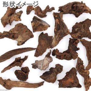 形状お任せ 自然流木 ミニ(約15cm以下) 2本の詳細画像2