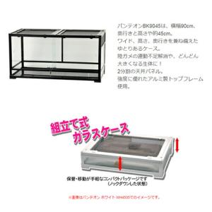 爬虫類ケージ 三晃商会 パンテオン ブラック ...の詳細画像1