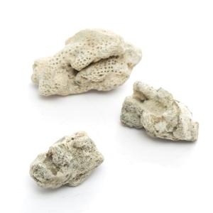 国産　ワラダンの栄養石（３個入り）　昆虫　ワラジムシ　ダンゴムシ　カルシウム　ミネラル｜charm 第2ヤフー店