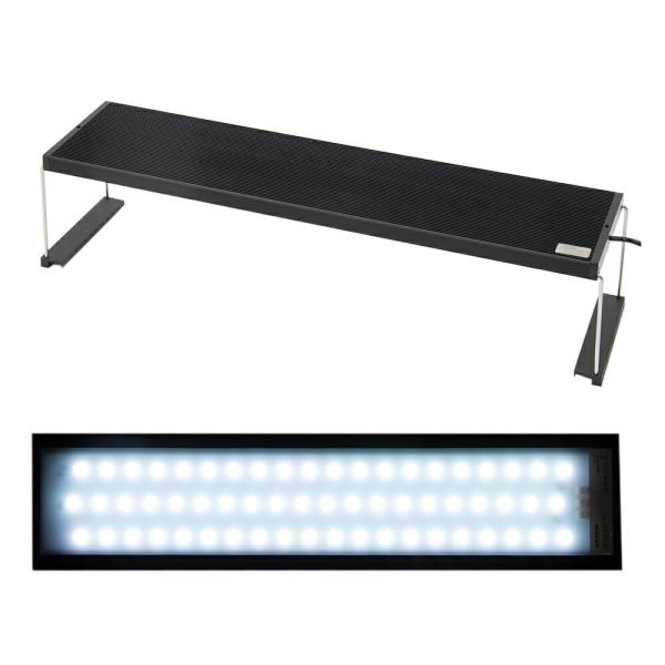 Ｃｈｉｈｉｒｏｓ　ＬＥＤ　ＷＲＧＢ２　６０　１０周年モデル　ブラック　ＲＧＢライト　調光機能付き　４...