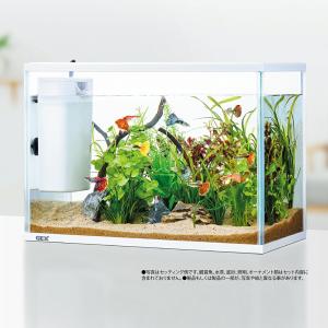 GEX 水槽セット ラクフィル 水換え簡単セッ...の詳細画像3