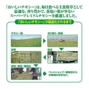 GEX おいしいチモシー 1.1kg うさぎ ...の詳細画像3