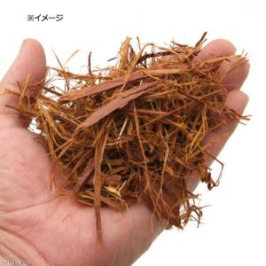 天然樹皮培養土 クリプトモス Lサイズ 100...の詳細画像1