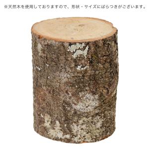ミタニ かくれが 昆虫 カブトムシ クワガタ ...の詳細画像1