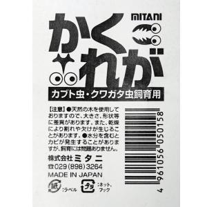 ミタニ かくれが 昆虫 カブトムシ クワガタ ...の詳細画像4