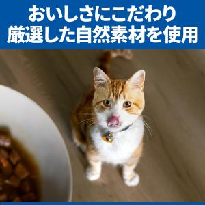 キャットフード サイエンスダイエット 腸の健康...の詳細画像3