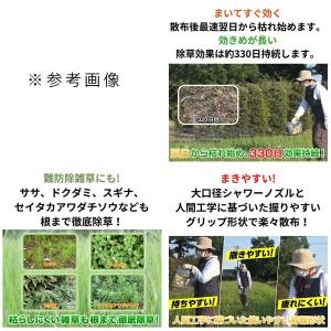 住友化学園芸 草退治 メガロングシャワー GT...の詳細画像2