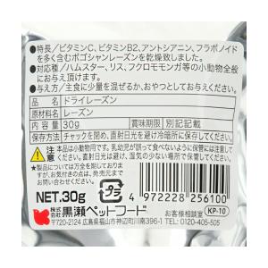 黒瀬ペットフード 自然派宣言 ドライレーズン ...の詳細画像1