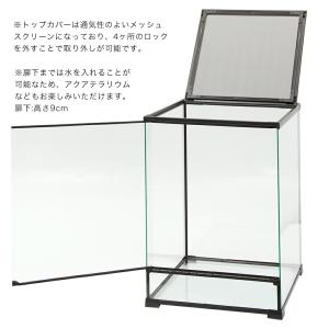 爬虫類ケージ テラスペース 45×45×60c...の詳細画像2