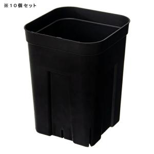 スリット鉢 プレステラ 120深型 黒 10個...の詳細画像1