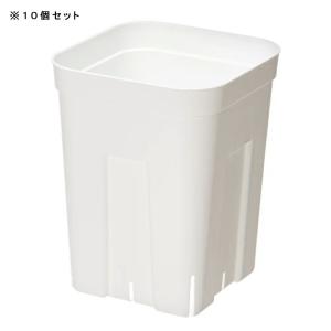 スリット鉢 プレステラ 120深型 白 10個...の詳細画像1