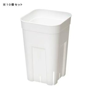 スリット鉢 プレステラ 90深型 白 10個セ...の詳細画像1