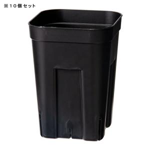スリット鉢 プレステラ 105深型 黒 10個セットの詳細画像1
