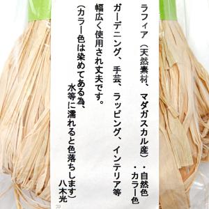 ラフィア 50g 無染の詳細画像1