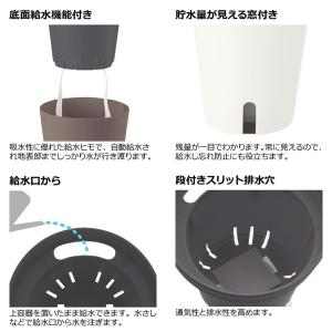 鉢 リッチェル ミエルノPlusポット 17型...の詳細画像3