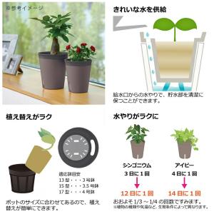 鉢 リッチェル ミエルノPlusポット 17型...の詳細画像4