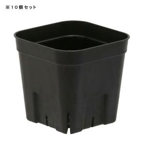 スリット鉢 プレステラ 90型 黒 10個セットの詳細画像1