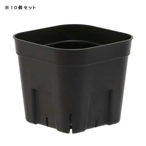 スリット鉢 プレステラ 105型 黒 10個セットの詳細画像1