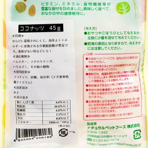 NPF 小動物のおいしいおやつ ココナッツ 45gの詳細画像2