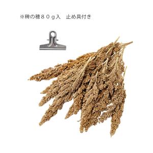 NPF エクセル 稗の穂 80gの詳細画像1