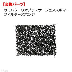 カミハタ　リオプラス　サーフェススキマー用　フィルタースポンジ