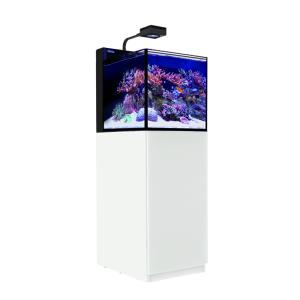 ６０Ｈｚ　レッドシー　ＭＡＸ　ＮＡＮＯ　Ｇ２　ペニンシュラセット　白（旧ＬＥＤセット）　４５ｃｍ水槽　西日本用