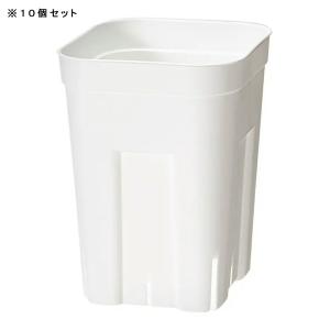スリット鉢 プレステラ 105深型 白 10個セットの詳細画像1