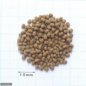 キョーリン のこのこカメさん 40g×2袋 餌...の詳細画像1