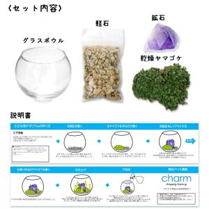 種類おまかせ 本物で作る 小さな鉱石テラリウム...の詳細画像1