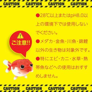 動物用医薬品 キョーリン 魚病薬 観賞魚用 ム...の詳細画像3