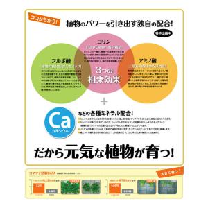ハイポネックス リキダス エコパック 720mlの詳細画像3