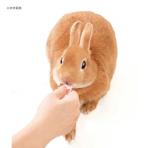 マルカン 快腸ぐらし うさぎのぴゅーれ チモシ...の詳細画像5