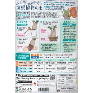 培養土 花ごころ 塊根植物の土 2Lの詳細画像1