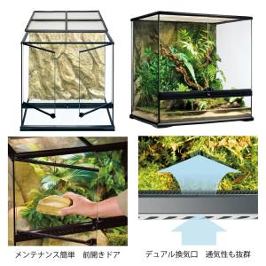 (大型)爬虫類ケージ GEX エキゾテラ グラ...の詳細画像1
