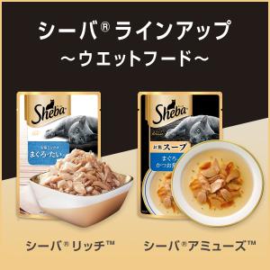 シーバ 自然素材レシピ まぐろ・かつお入り さ...の詳細画像4