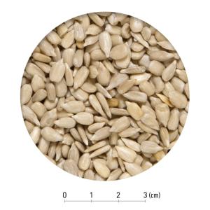 スドー ナッツ王国 殻むきヒマワリの種 55g...の詳細画像1