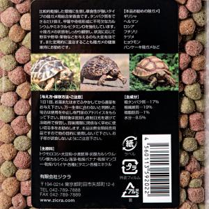 ジクラ JOJO FOOD GHIBLI ギブ...の詳細画像2