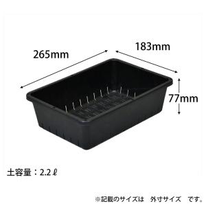 アップルウェアー 育苗コンテナー 6型 プレス...の詳細画像2