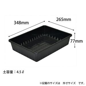 アップルウェアー 育苗コンテナー 12型 プレ...の詳細画像2